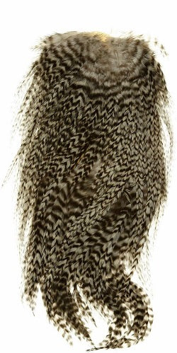 WHITING - AMERICAN ROOSTER SADDLE