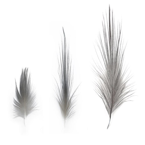 HERON FEATHERS
