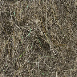 HARELINE - KRYSTAL DUB