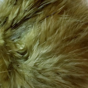 Wooly Bugger Marabou