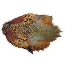 Ringneck Pheasant Skin - Without Tail