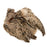 WAPSI - RINGNECK PHEASANT SKIN NATURAL HEN