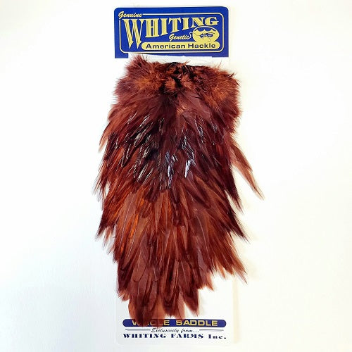 WHITING - AMERICAN ROOSTER SADDLE — Fly Life Company