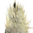 SHOR - ROOSTER SADDLE