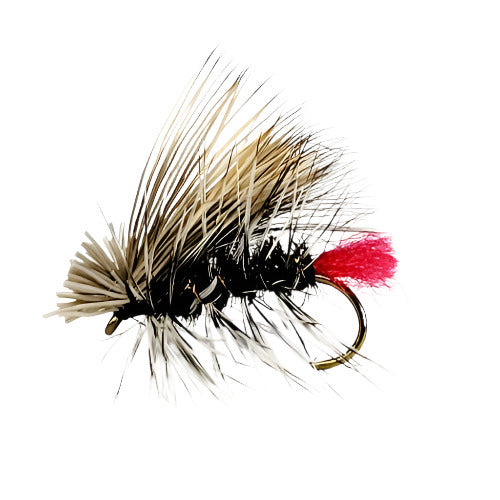 ELK HAIR HOT BUTT CADDIS  - PEACOCK