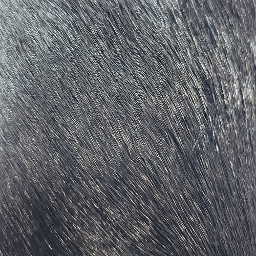 SHOR - DEER BODY STRIP