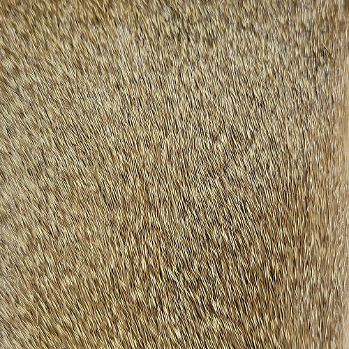 SHOR - DEER BODY STRIP