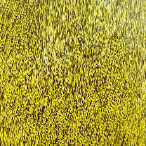 SHOR - DEER BODY STRIP