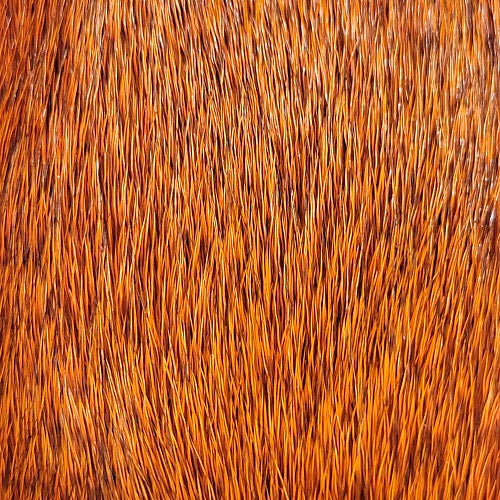 SHOR - DEER BODY STRIP