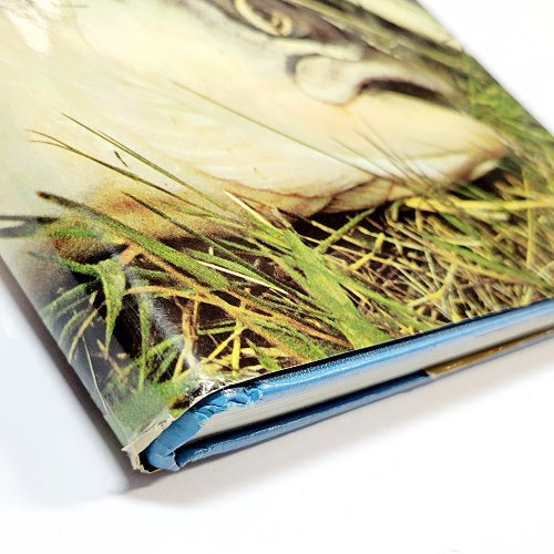 THE TREASURY OF ANGLING - Larry Koller