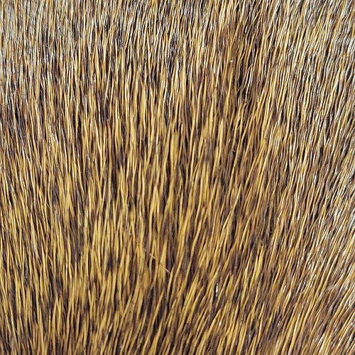 SHOR - DEER BODY STRIP