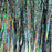 HEDRON - MAGNUM FLASHABOU HOLOGRAPHIC