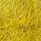 SHOR - DEER BODY STRIP