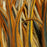 SHOR - HACKLE 6''-8''