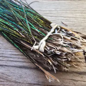 KINDALE  - PEACOCK HERL