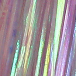 TEXTREME - GLOSSY PEARL