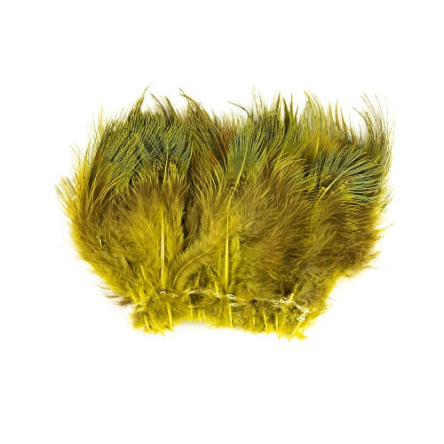 SHOR - RING-NECKED PHEASANT RUMP HACKLE