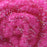 TEXTREME - PEARL EGGSTASY