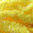 TEXTREME - PEARL EGGSTASY