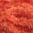 TEXTREME - PEARL EGGSTASY