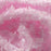 TEXTREME - PEARL EGGSTASY