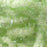 TEXTREME - PEARL EGGSTASY