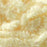 TEXTREME - PEARL EGGSTASY