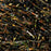 TEXTREME - SBRIGGLE LARGE