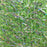 TEXTREME - SBRIGGLE SMALL