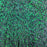 FLY LIFE CO -  PSF PEARL FLASH