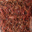 TEXTREME  - WOLLY CHENILLE