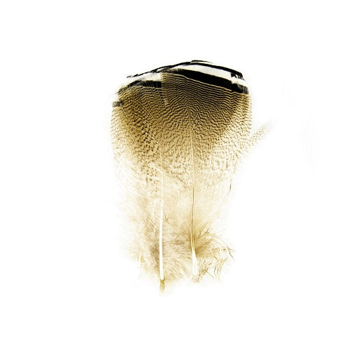 SHOR - WOODDUCK BLACK & WHITE FLANK (3PR)