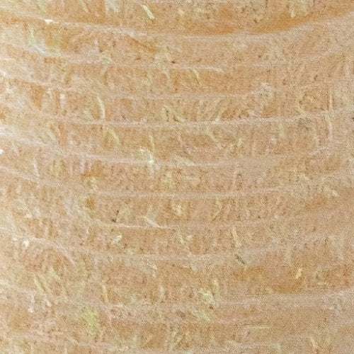 TEXTREME - MICRO CACTUS