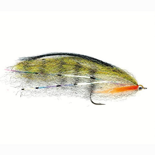 PERCH PIKE FLY