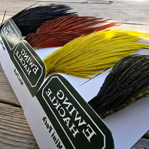 EWING - COCK MINI PACK 10-12