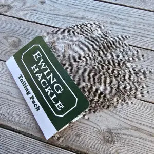 EWING - TAILING PACKS