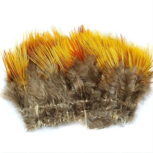 SHOR - GOLDEN PHEASANT RUMP — Fly Life Company