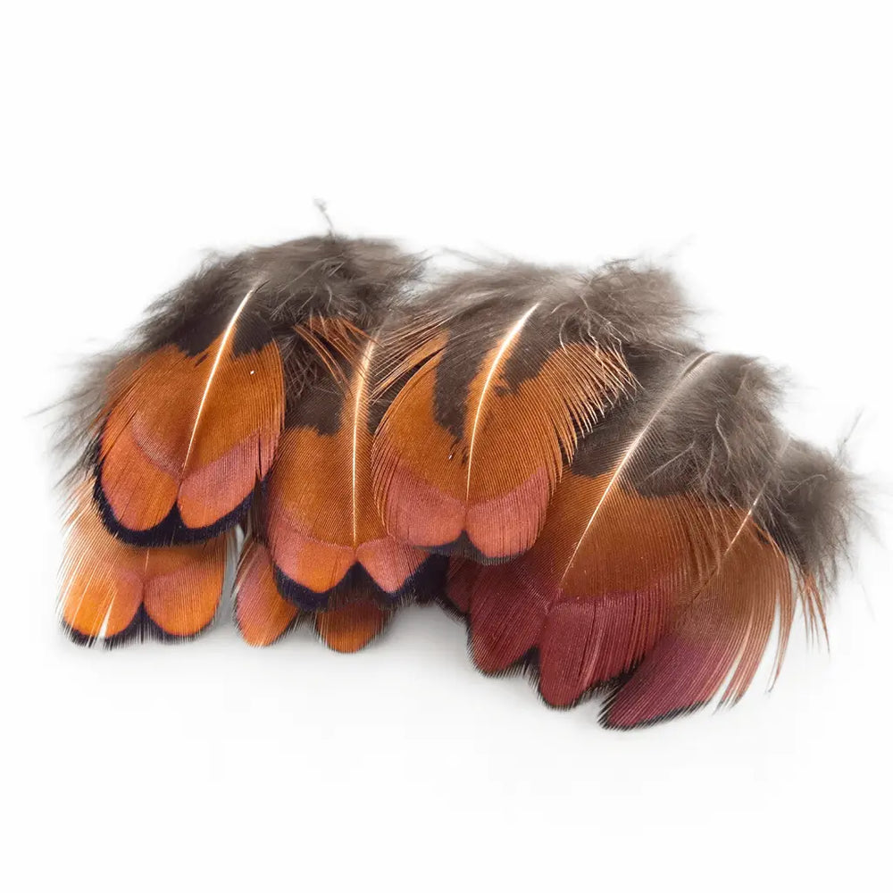 KINDALE  - COCK PHEASANT BROWN NECK FEATHERS