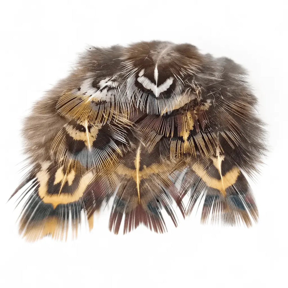 KINDALE - COCK PHEASANT SHORT RUMP FEATHERS