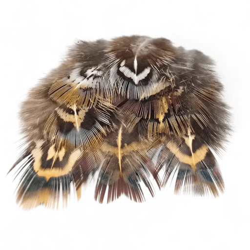 KINDALE - COCK PHEASANT SHORT RUMP FEATHERS