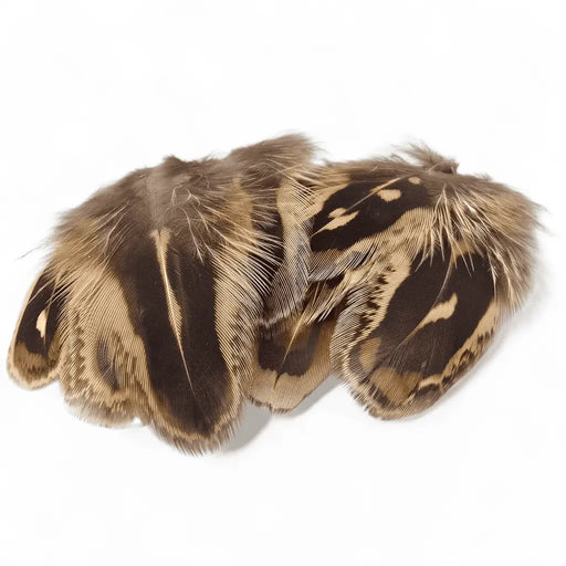 KINDALE - HEN PHEASEANT SHOULDER FEATHERS