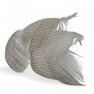 KINDALE  - MALLARD GREY FLANK FEATHERS