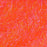 HARELINE - STS TRILOBAL DUB