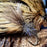KINDALE - PINE SQUIRREL DUBBING UV BLEND NATURAL
