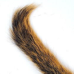 SQUIRREL TAIL