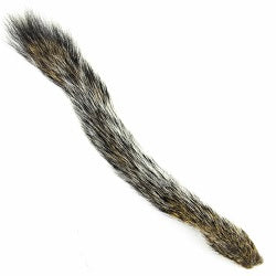 SQUIRREL TAIL