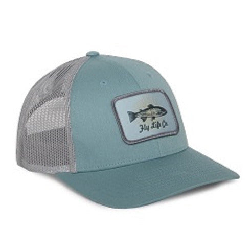 Blue and gray cap with a fish logo on a white background